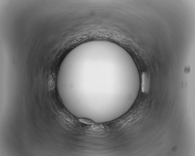 X0000097961491200804071017
