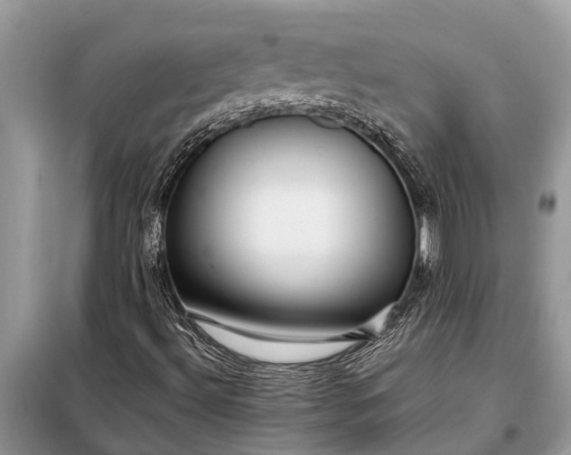 X0000097961492200804071017