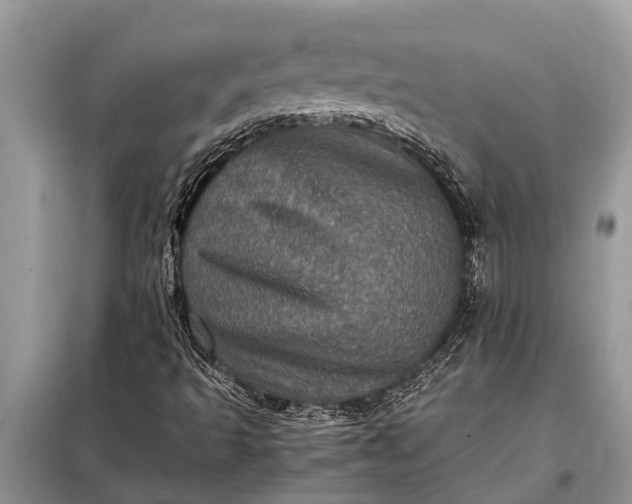 X0000097961493200804071017
