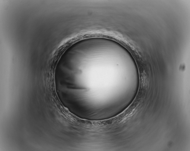 X0000097961494200804071017