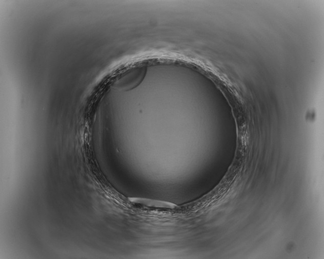 X0000097961495200804071017