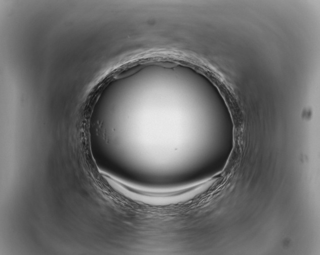X0000097961496200804071017