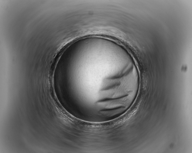 X0000097961497200804071017