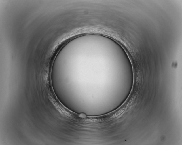 X0000097961499200804071017