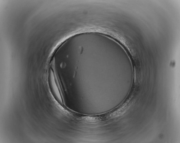 X0000097961500200804071017