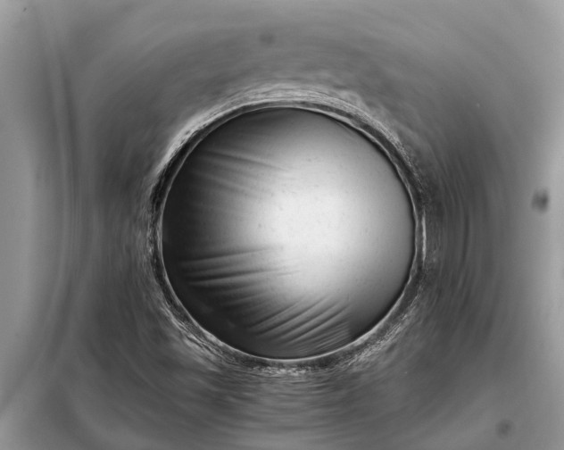 X0000097961501200804071017