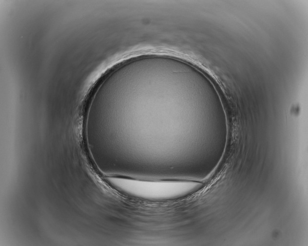 X0000097961503200804071017