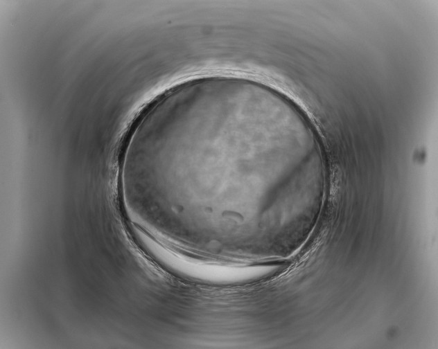 X0000097961507200804071017