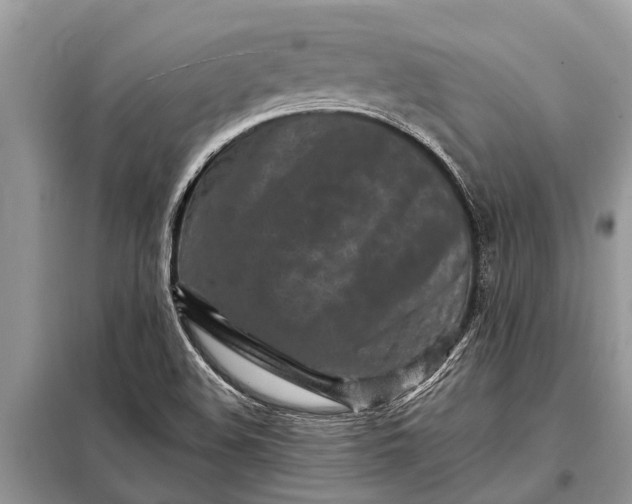 X0000097961508200804071017