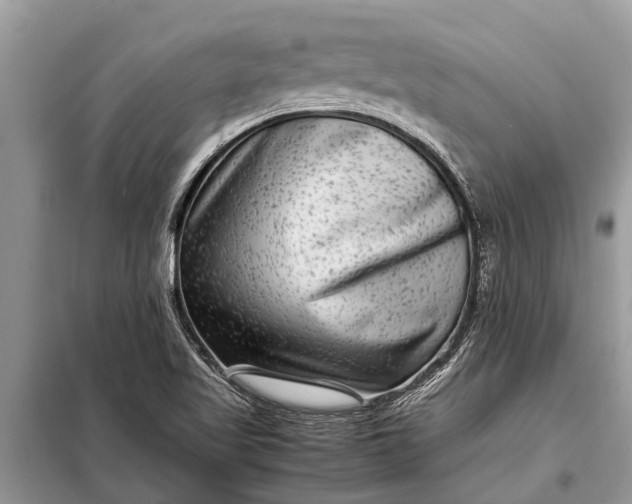 X0000097961509200804071017