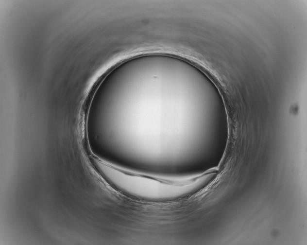 X0000097961510200804071017