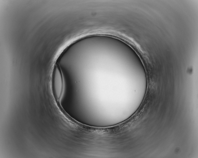 X0000097961512200804071017