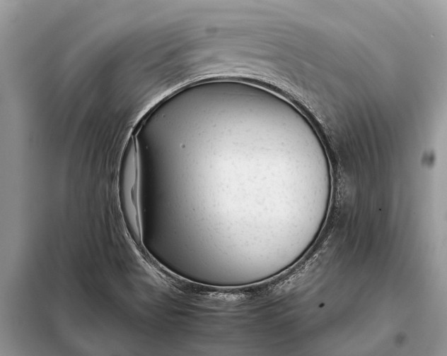 X0000097961513200804071017