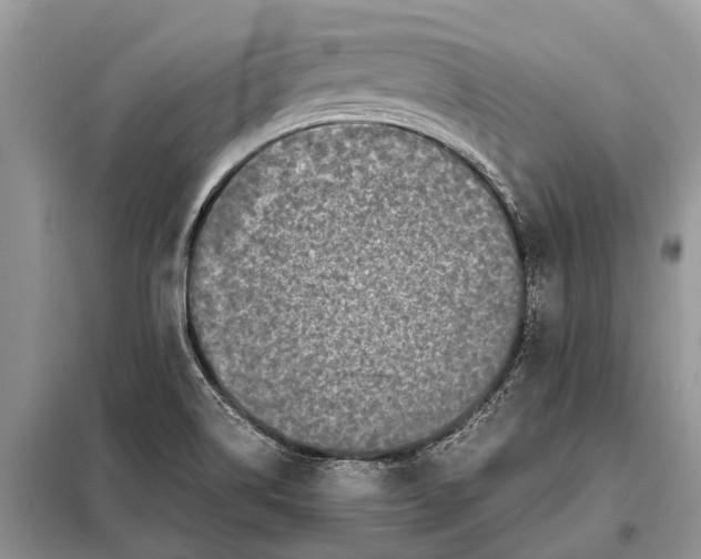 X0000097961514200804071017