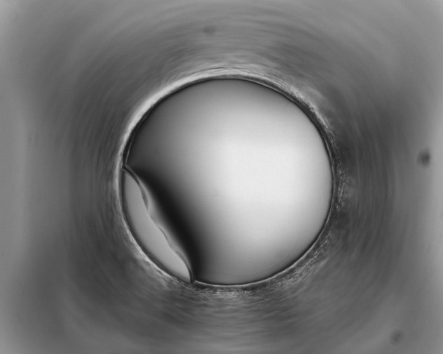 X0000097961516200804071017