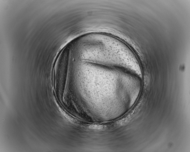 X0000097961521200804071017