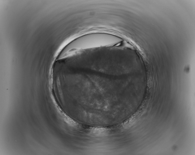 X0000097961522200804071017