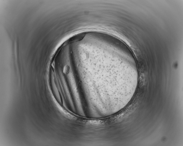 X0000097961523200804071017