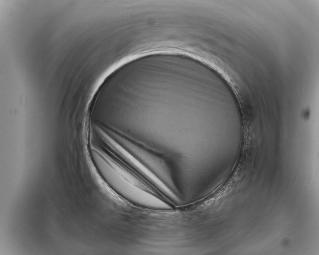 X0000097961526200804071017