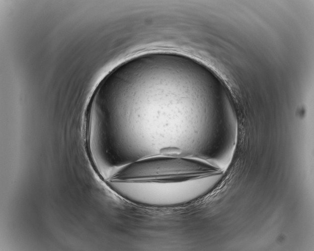 X0000097961527200804071017