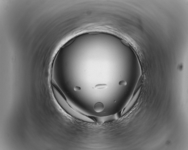 X0000097961528200804071018
