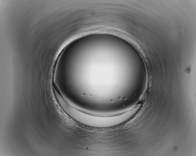 X0000097961530200804071018