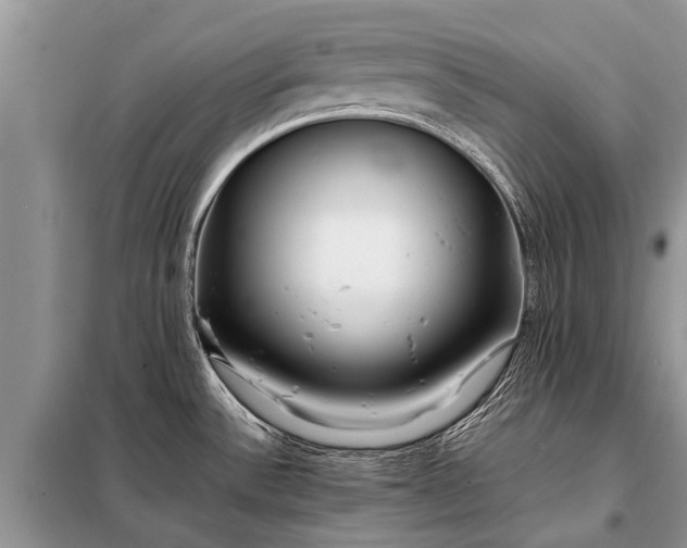 X0000097961532200804071018