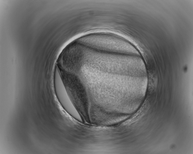 X0000097961534200804071018