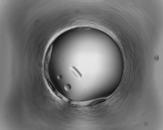X0000097961536200804071018