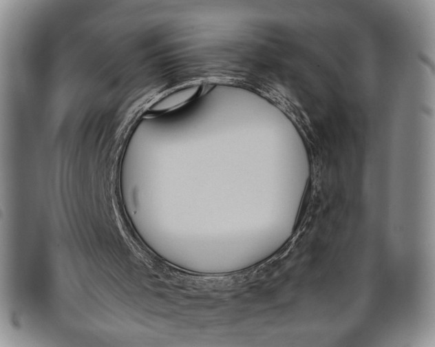 X0000097960001200804141039