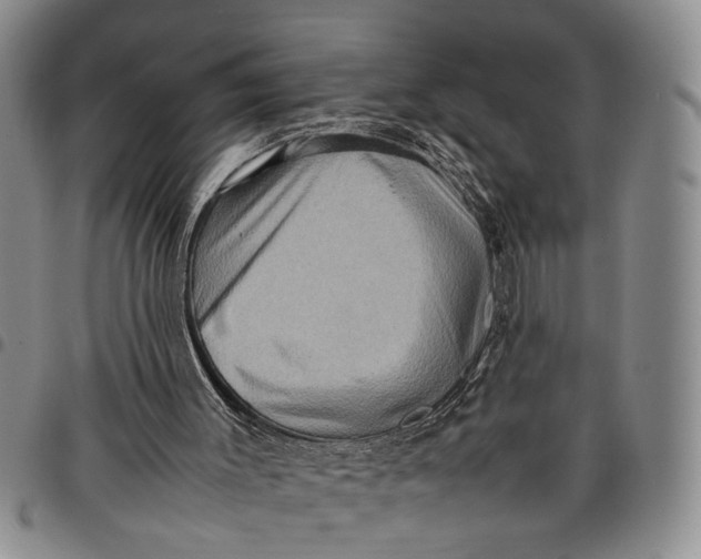 X0000097960003200804141039