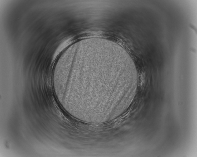 X0000097960004200804141039