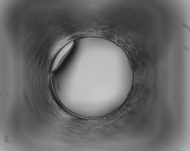 X0000097960005200804141039