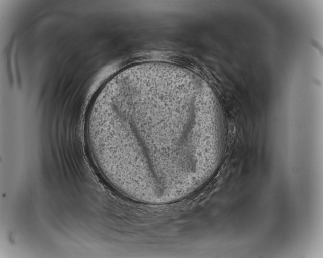 X0000097960006200804141039