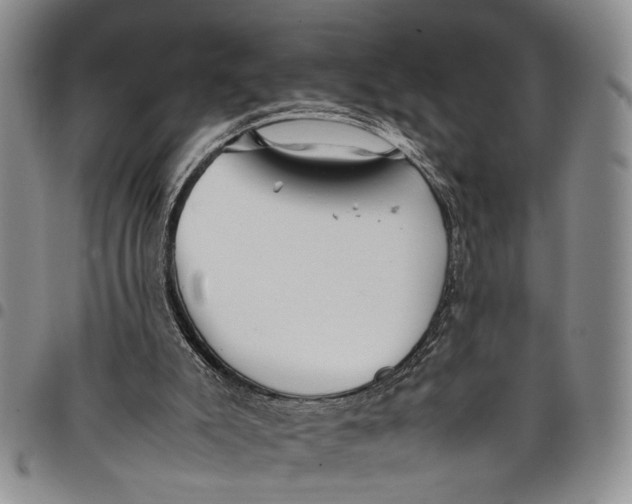 X0000097960007200804141039