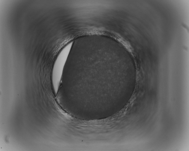 X0000097960009200804141039