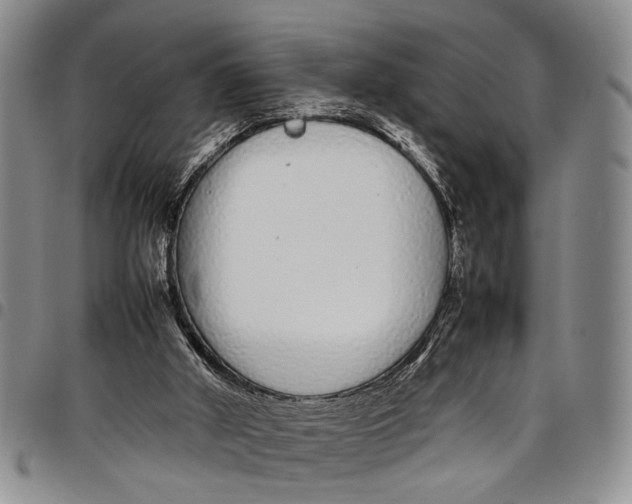 X0000097960010200804141039
