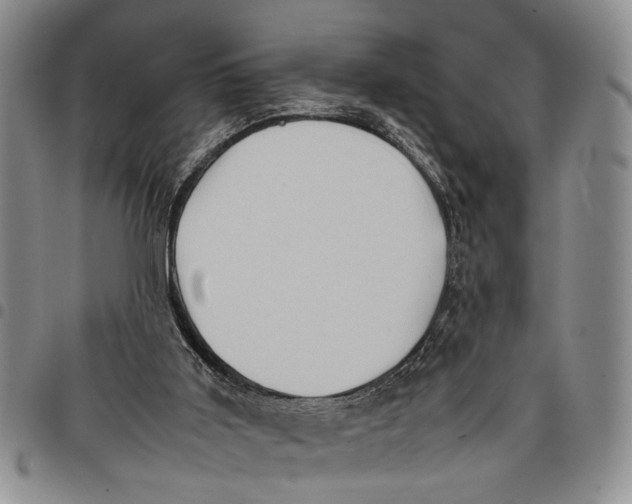 X0000097960011200804141039