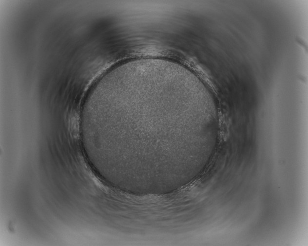 X0000097960012200804141039