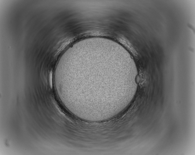 X0000097960014200804141039
