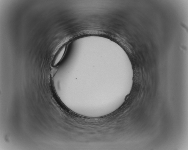 X0000097960015200804141038