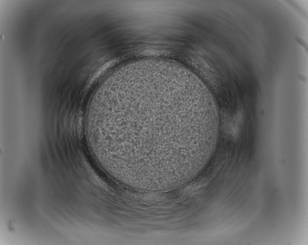 X0000097960016200804141038