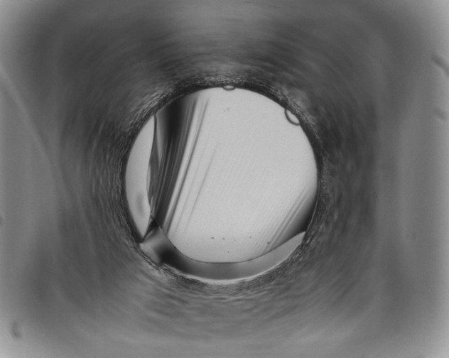 X0000097960017200804141038