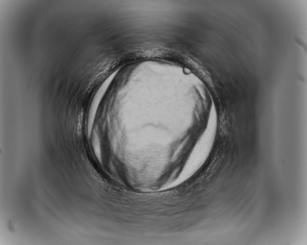X0000097960018200804141038