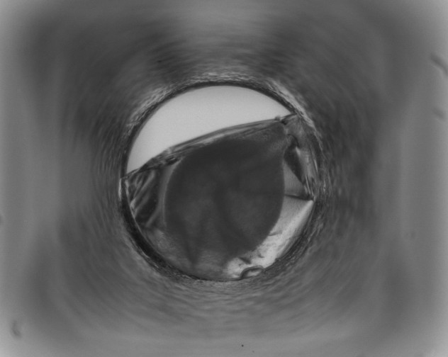 X0000097960019200804141038