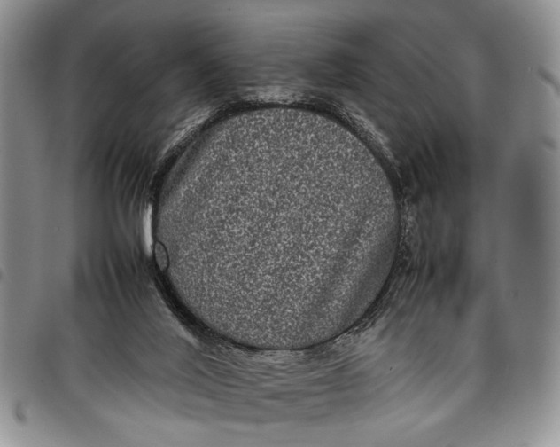 X0000097960020200804141038