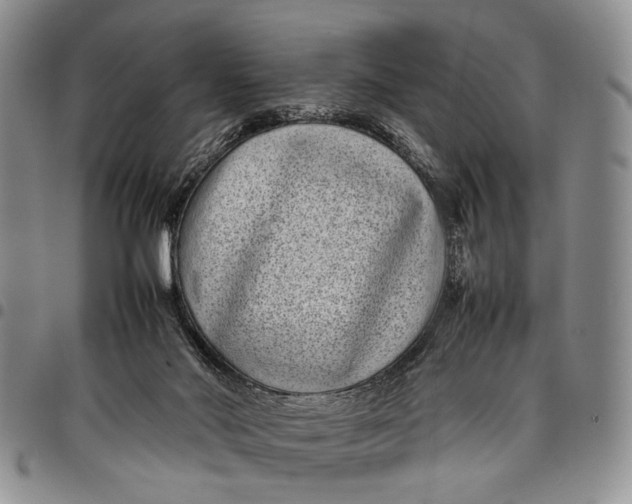 X0000097960022200804141038