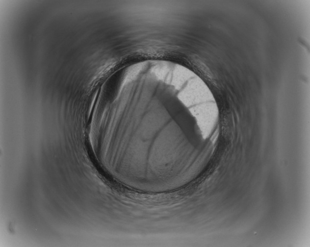 X0000097960023200804141038