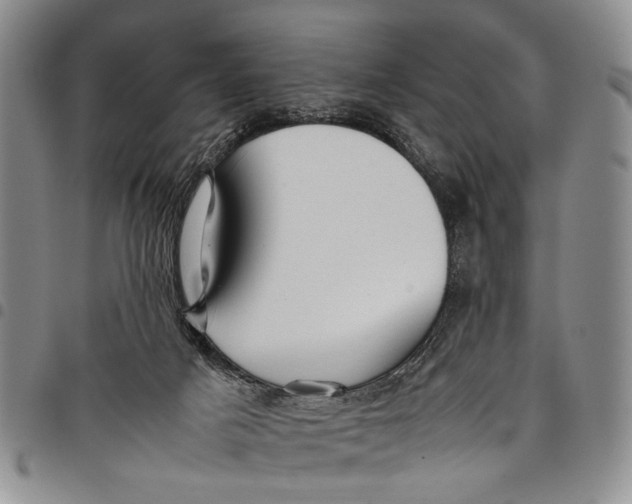 X0000097960025200804141038