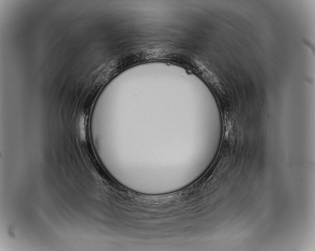 X0000097960026200804141038